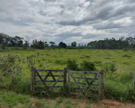 Taubate Barranco Terreno Venda R$12.330.000,00  Area do terreno 11213.00m2 