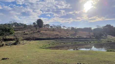 Taubate Chacara Sao Felix Area Venda R$10.000.000,00  Area do terreno 172731.75m2 